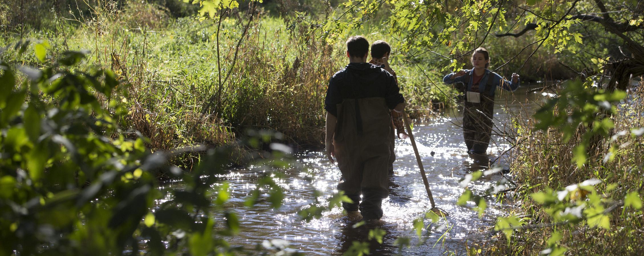 Three students walk through a shallow river.