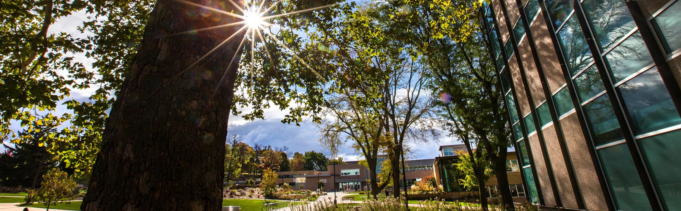 An autumn day on the 足彩平台 campus