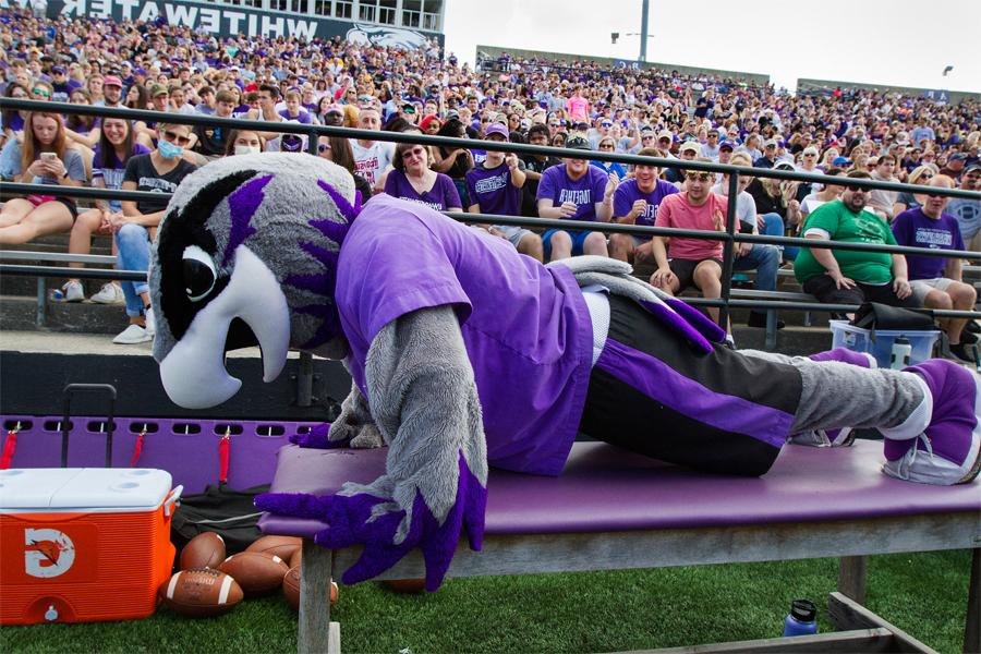 Willie Warhawk in a Warhawks jersey spreads his wings.