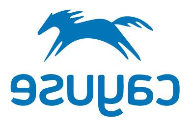 Cayuse Logo