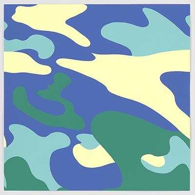 Warhol Camouflage